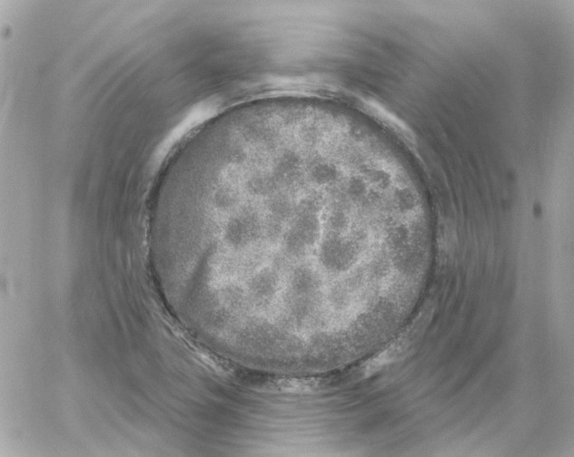 X0000059041411200511041624