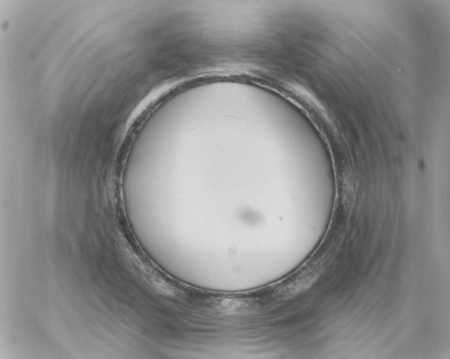 X0000059041412200511041624