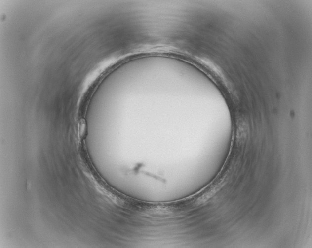 X0000059041414200511041625