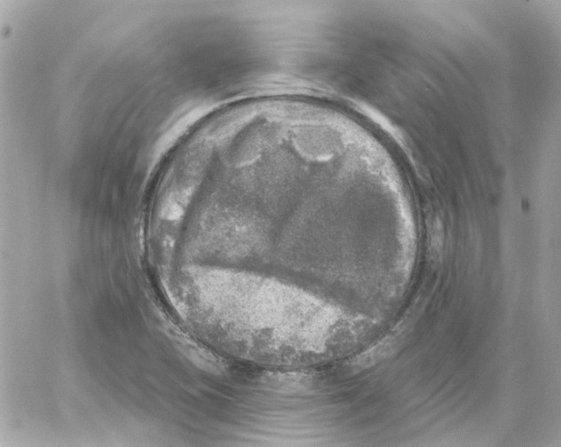 X0000059041415200511041625