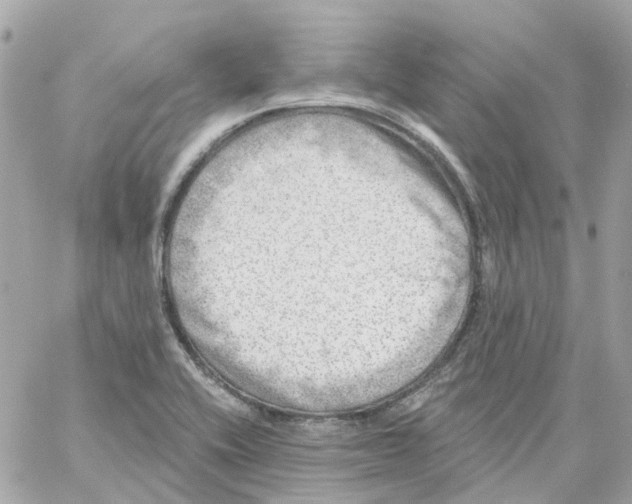 X0000059041416200511041625