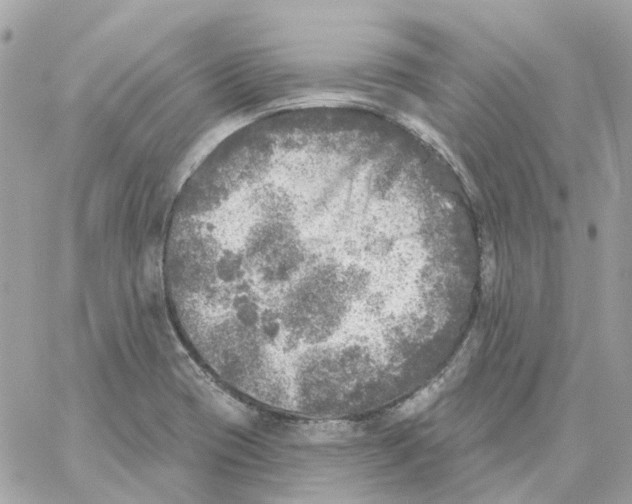 X0000059041417200511041625