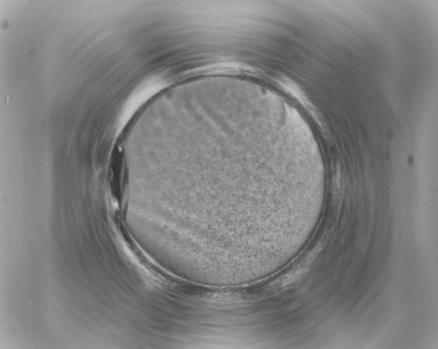 X0000059041418200511041625