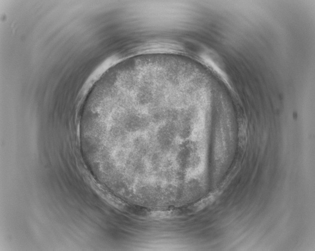 X0000059041419200511041625