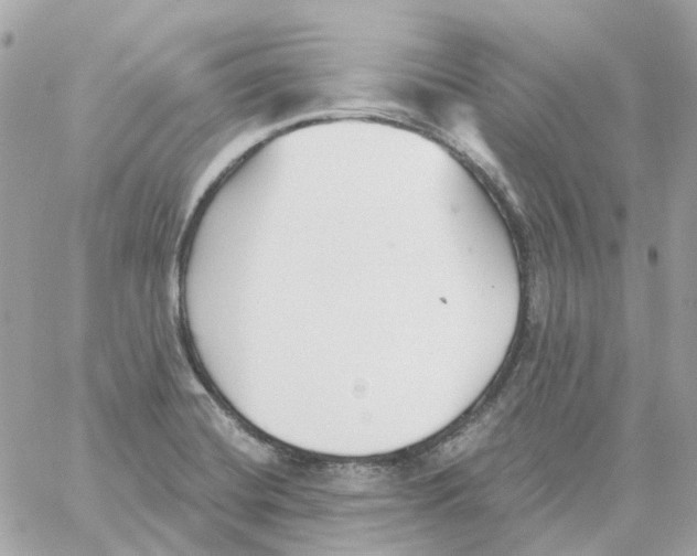 X0000059041420200511041625