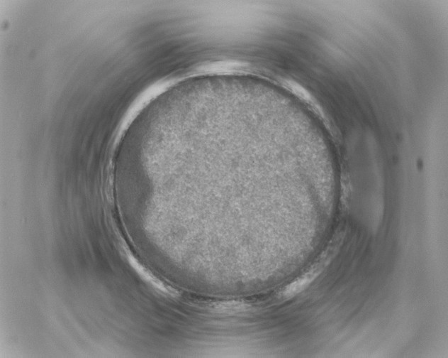 X0000059041421200511041625