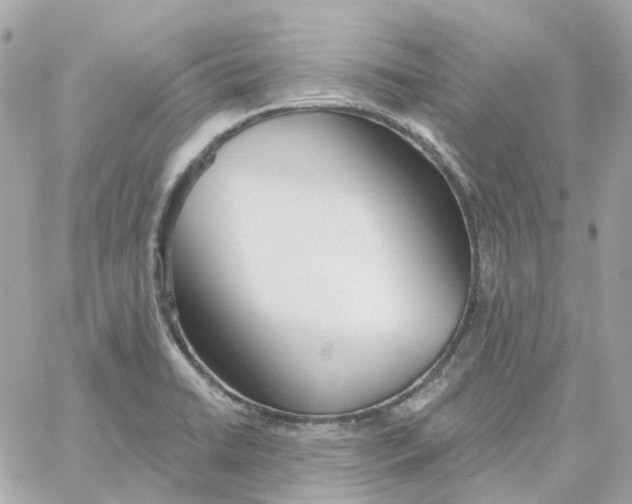 X0000059041422200511041625