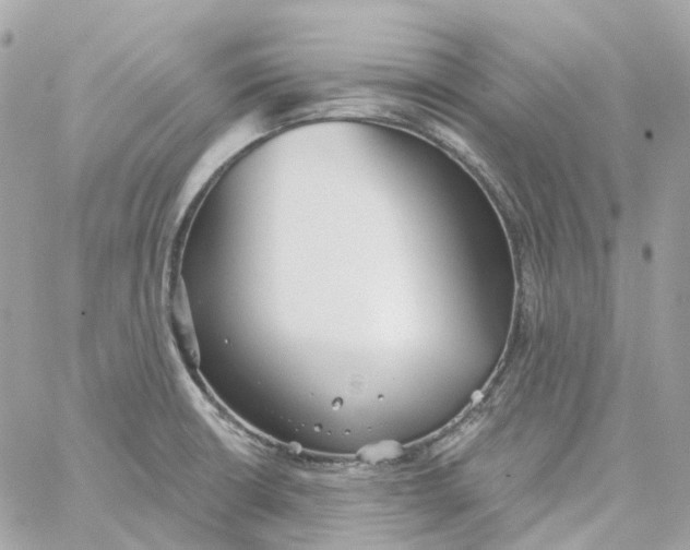 X0000059041426200511041625