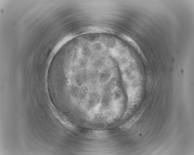 X0000059041427200511041625