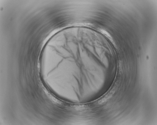 X0000059041428200511041625