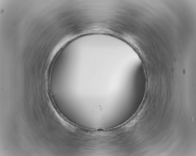 X0000059041430200511041625