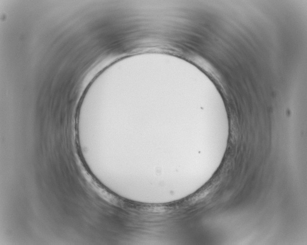 X0000059041431200511041625