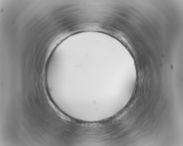 X0000059041432200511041625