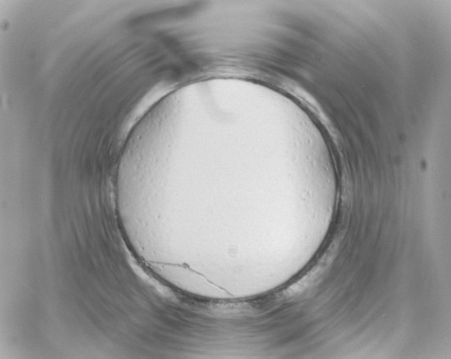 X0000059041433200511041625