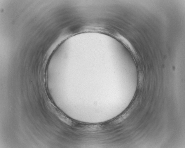 X0000059041435200511041625