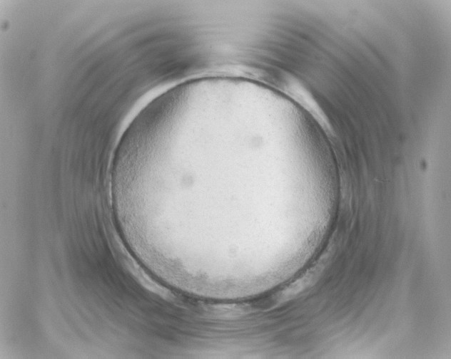 X0000059041436200511041625