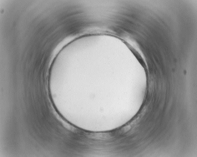 X0000059041437200511041625