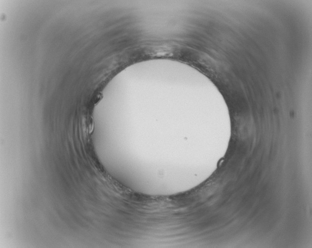 X0000059041442200511041624