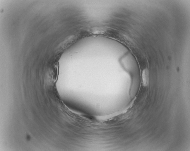 X0000059041443200511041624