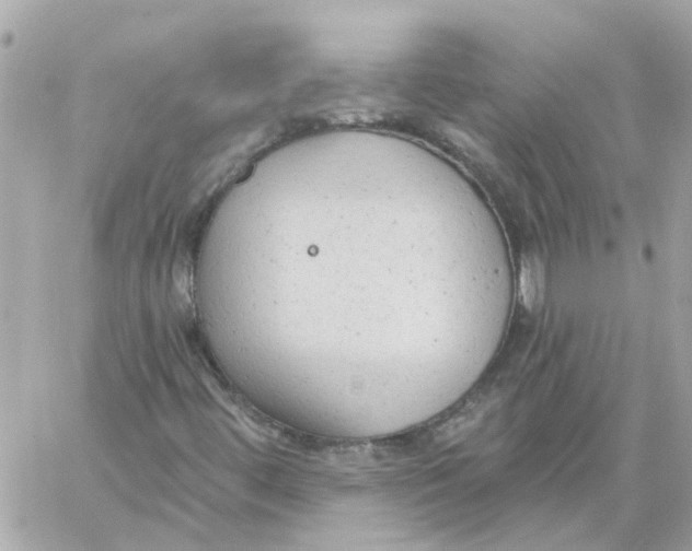 X0000059041444200511041624