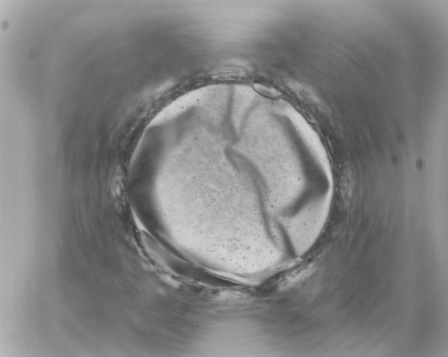 X0000059041445200511041624