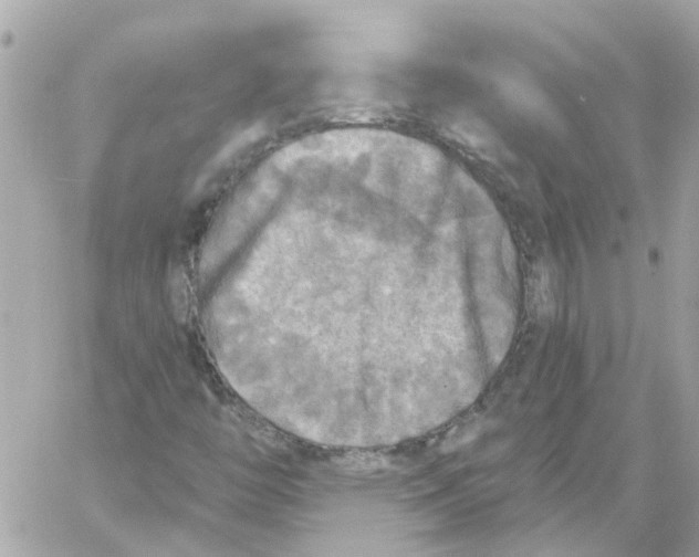 X0000059041446200511041624