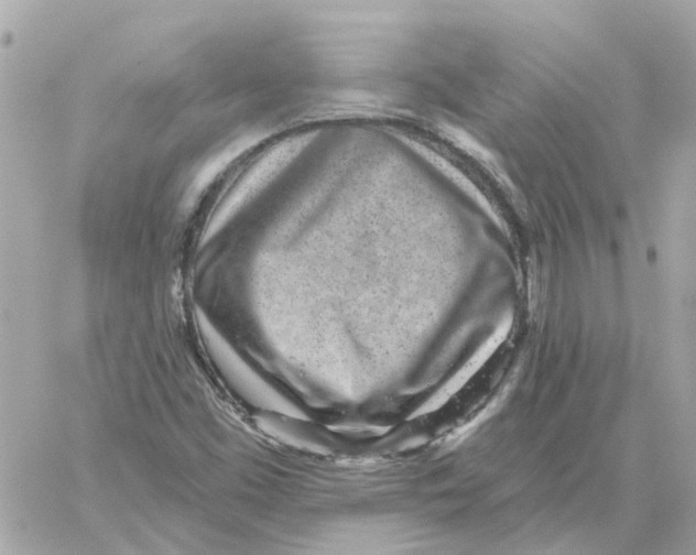 X0000059041453200511041624