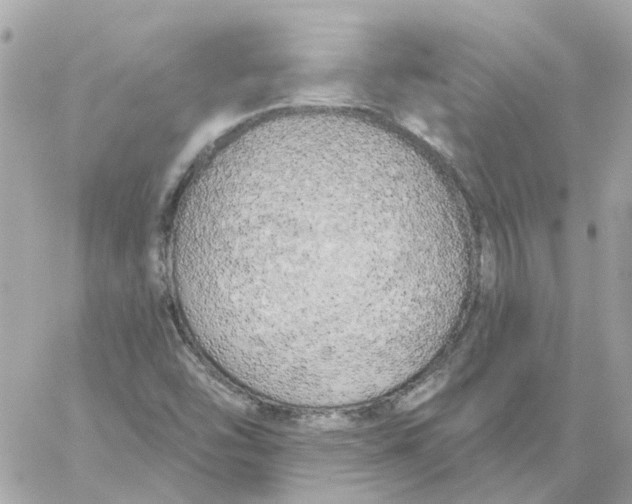 X0000059041454200511041624