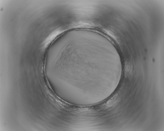 X0000059041455200511041624