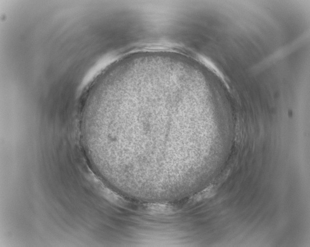 X0000059041456200511041624