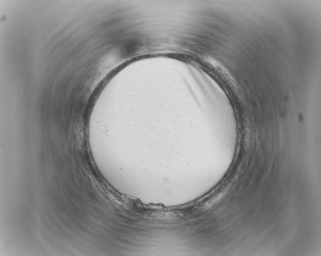 X0000059041457200511041624