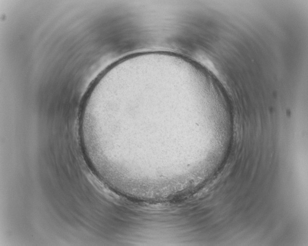 X0000059041460200511041624