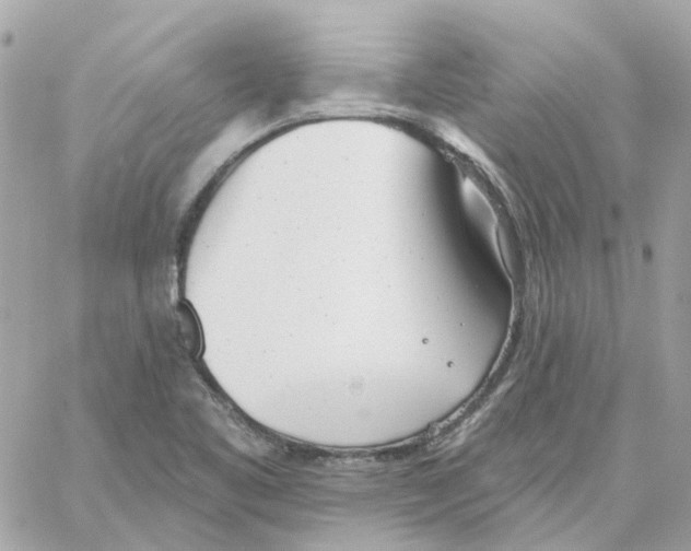 X0000059041461200511041624