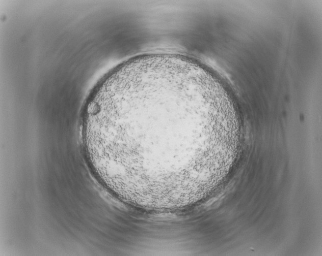 X0000059041462200511041624