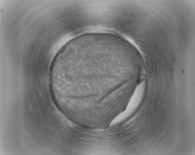 X0000059041463200511041624