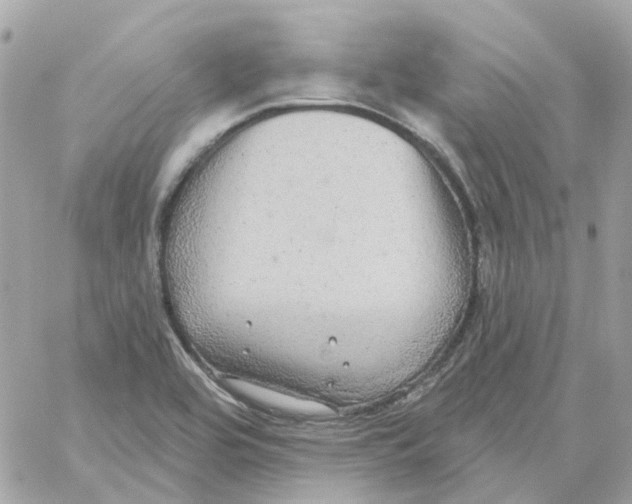 X0000059041464200511041624