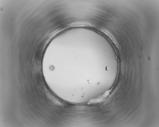 X0000059041465200511041624