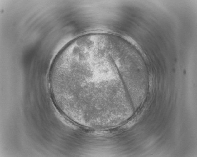 X0000059041466200511041624