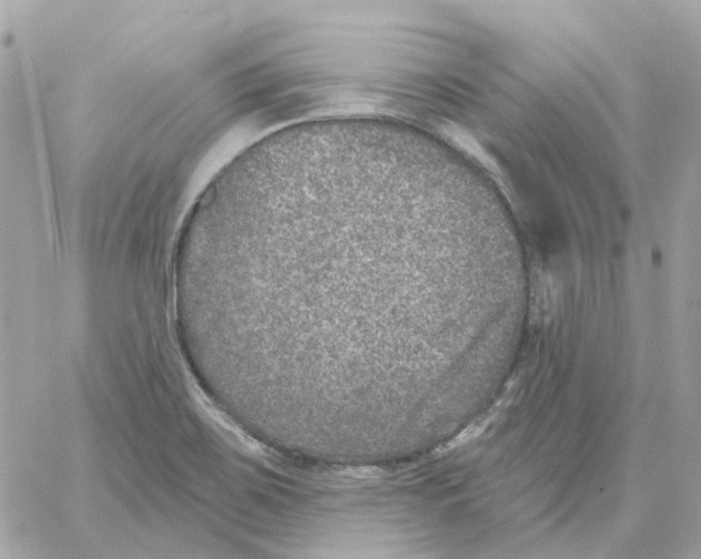 X0000059041467200511041624