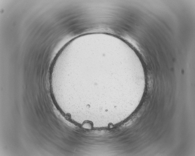 X0000059041468200511041624