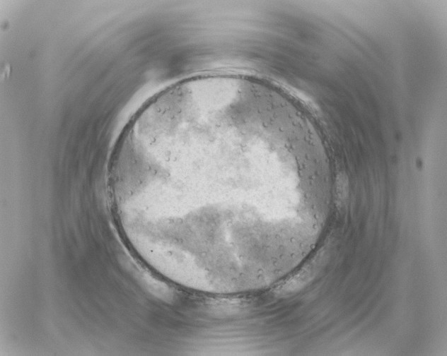 X0000059041470200511041624