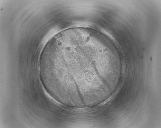 X0000059041471200511041624