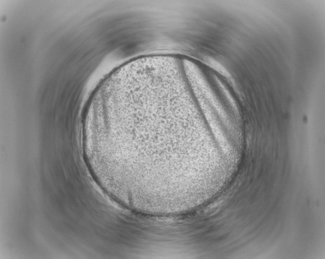 X0000059041472200511041624