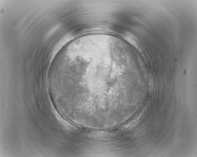 X0000059041474200511041624