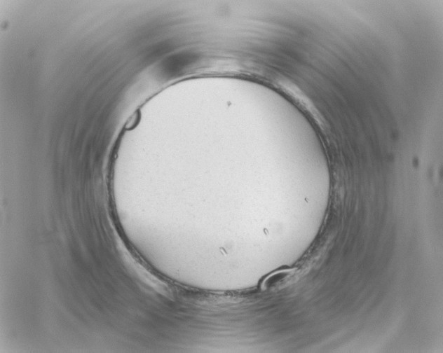 X0000059041475200511041624