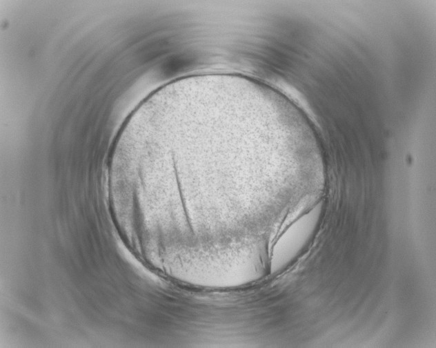 X0000059041476200511041624