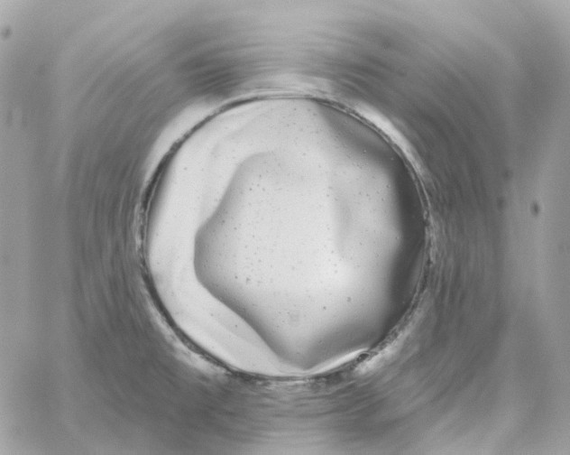 X0000059041477200511041624