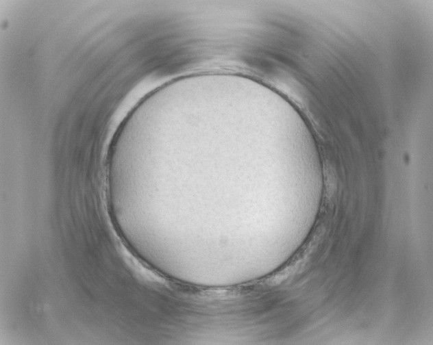 X0000059041478200511041624