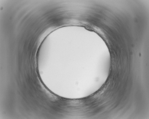 X0000059041479200511041624