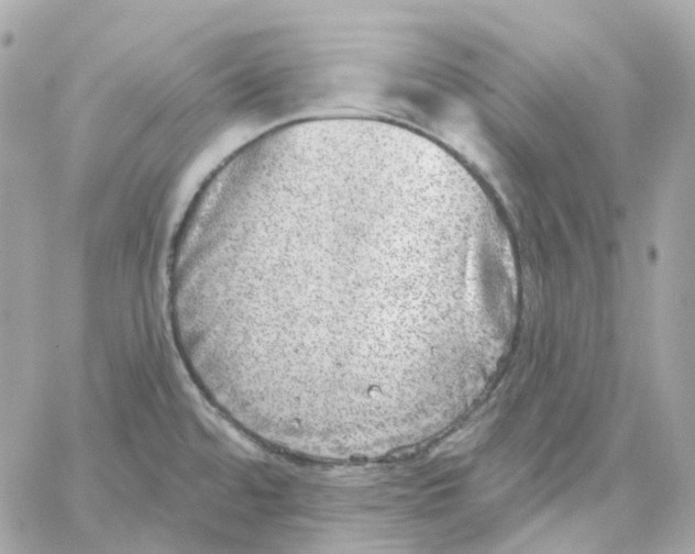 X0000059041480200511041624